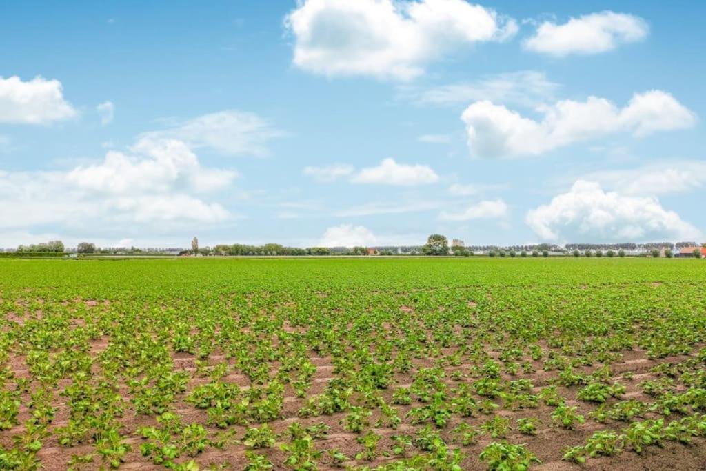 Vila Zeeuwse Rust Stavenisse Exteriér fotografie